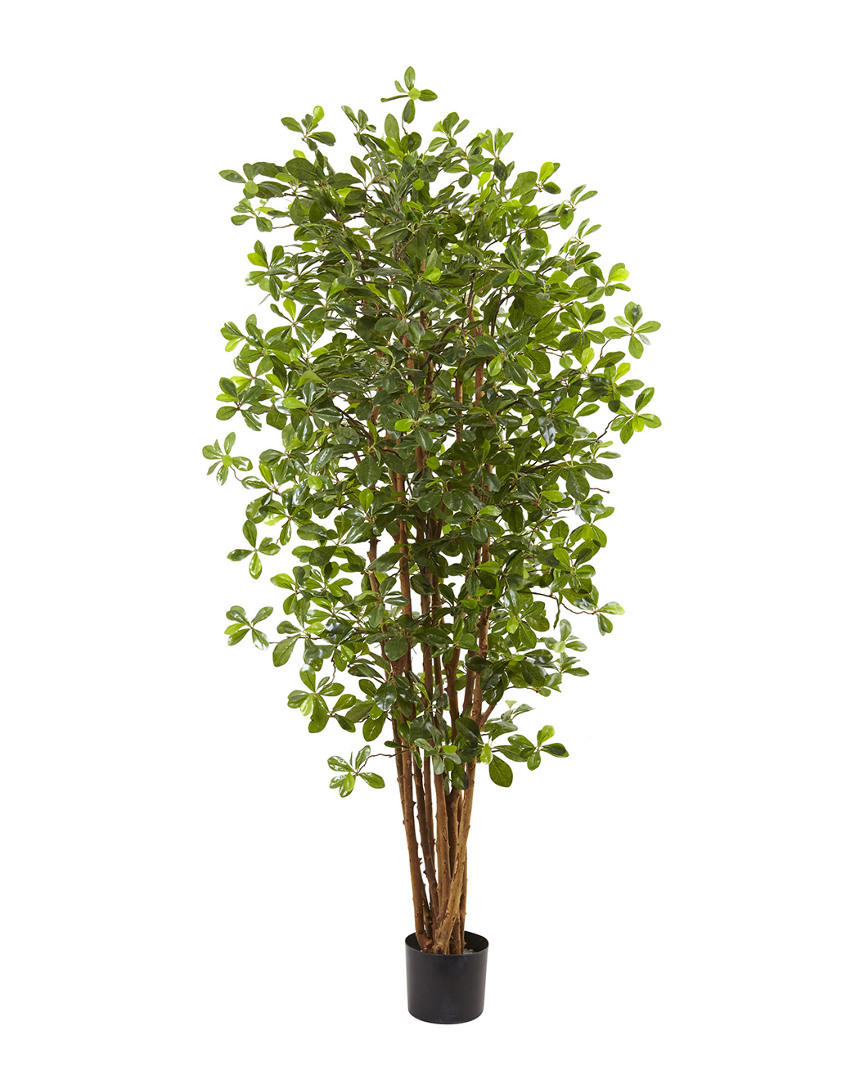 Nearly Natural 6' Black Olive Silk Tree In Green