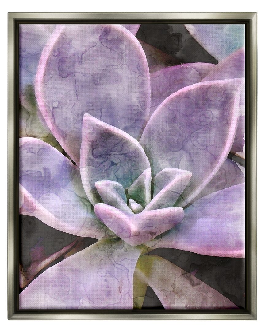 Stupell Purple Succulent Close Up Framed Floater Canvas Wall Art By Daphne Polselli