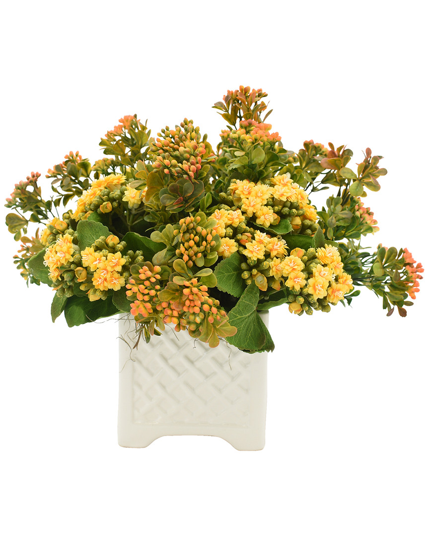 Creative Displays Yellow & Orange Kalanchoe Floral Arrangement