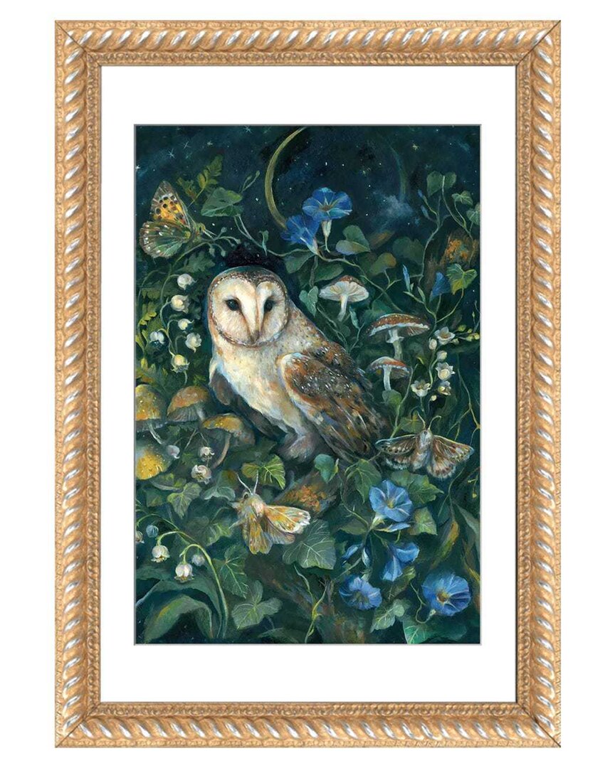 Icanvas Barn Owl By Clara Mcallister Wall Art