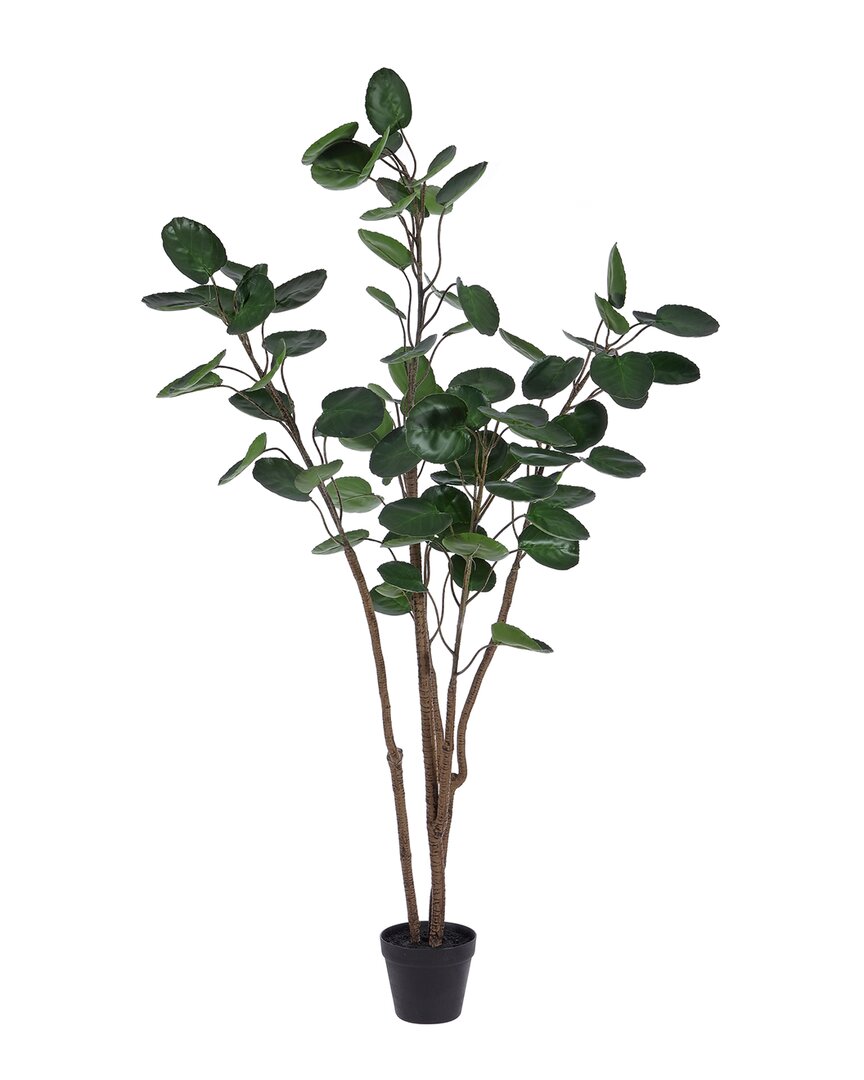 Safavieh Faux Polyscias Potted Tree In Black