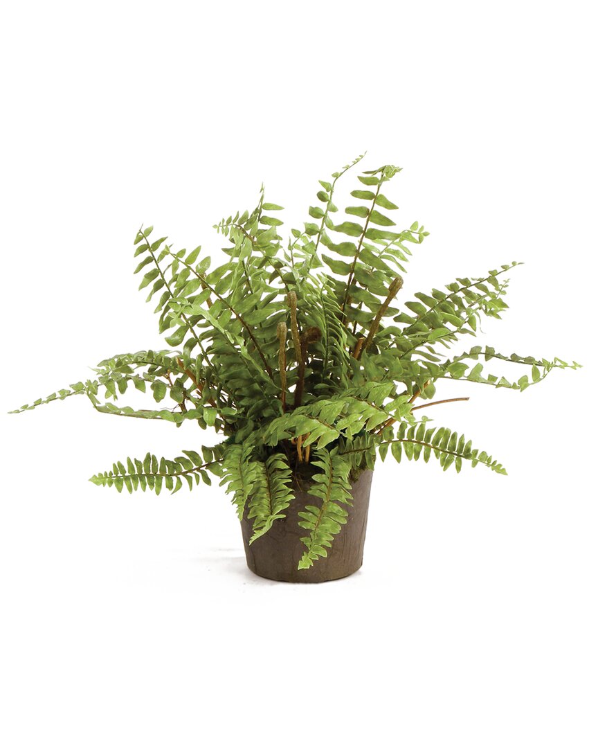 Napa Home & Garden 12in Boston Fern Drop-in