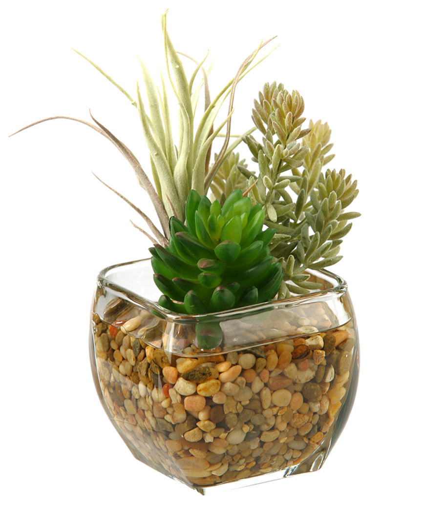 D&w Silks Succulent And Flocked Burro Tail In Glass Cube