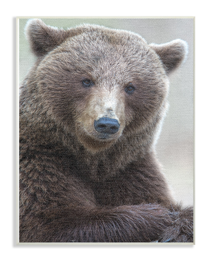 Stupell Most Interesting Bear By Stock