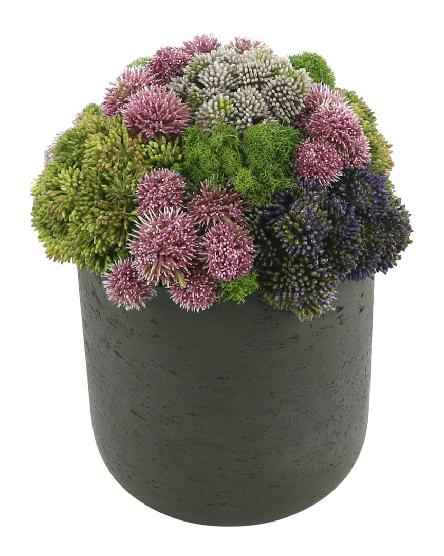 Creative Displays Multicolor Sedum Floral Arrangement In Green