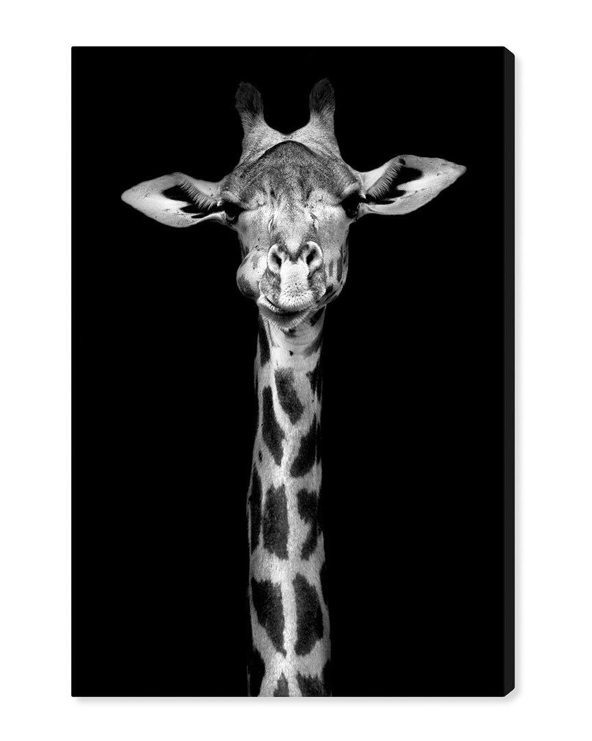 Oliver Gal Giraffe Neck Animals Black Wall Art Canvas Print By The