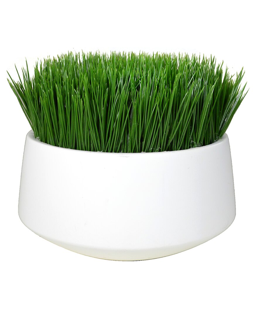 Creative Displays Grass In White Pot
