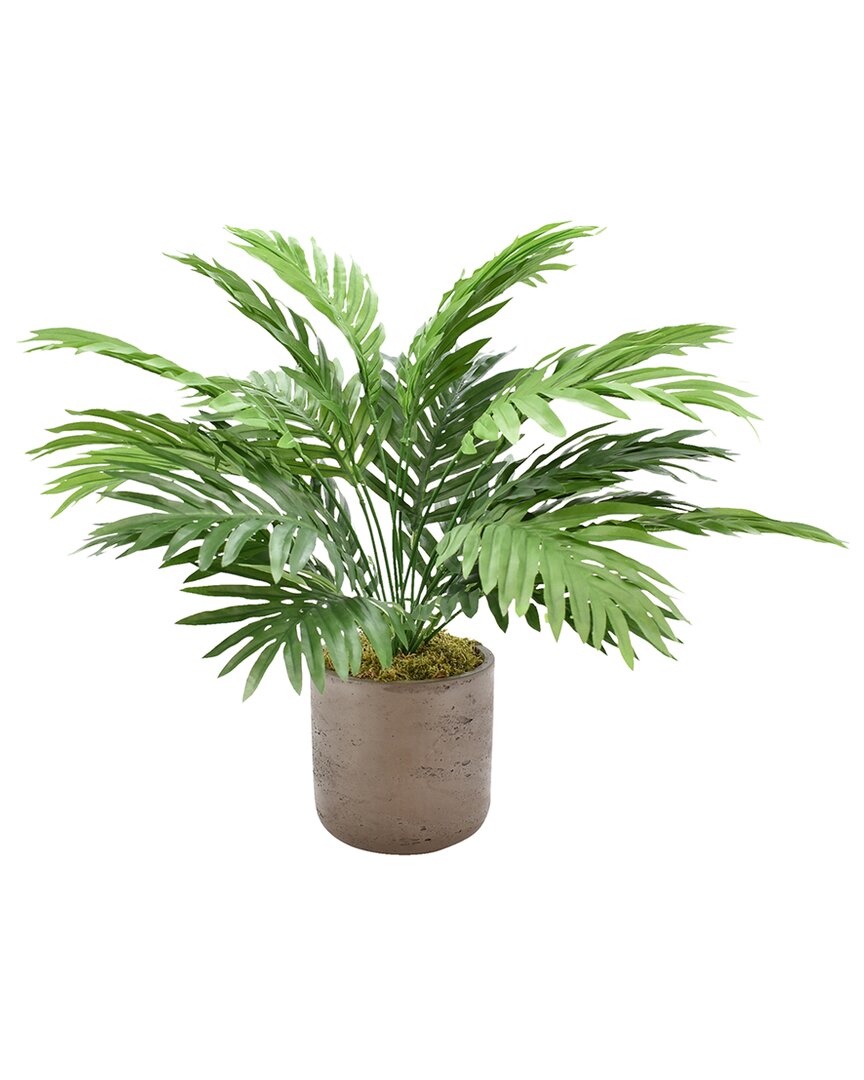 Creative Displays Areca Palm In A Brown Fiberstone Pot In Green