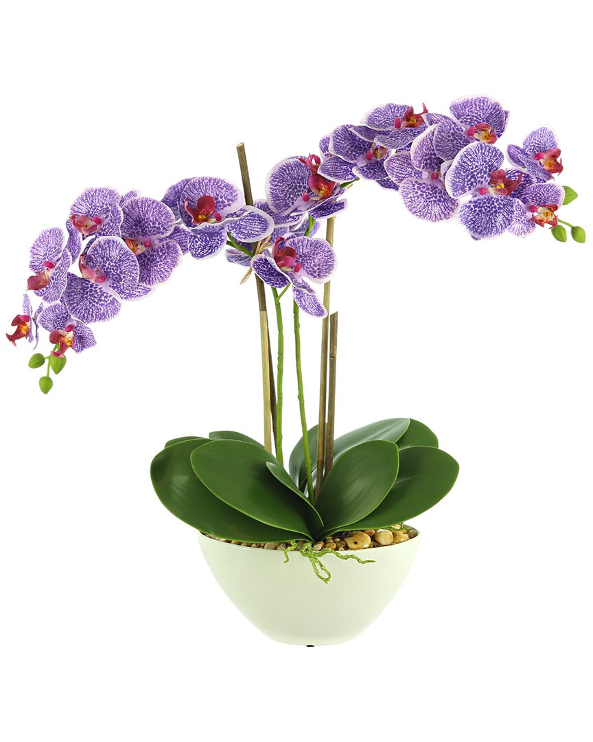 Creative Displays Orchid Arrangement In Ceramic Pot With Rocks In Purple