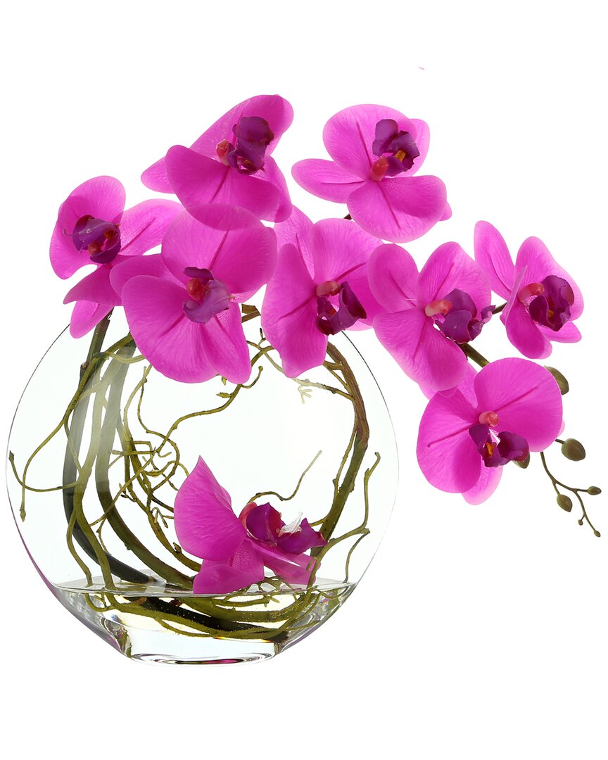 Creative Displays Orchid Arranged In Glass Vase With Vines In Fuchsia