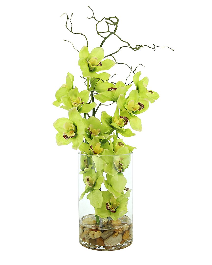 Creative Displays Orchids & Vine In Glass Vase With Rocks In Green