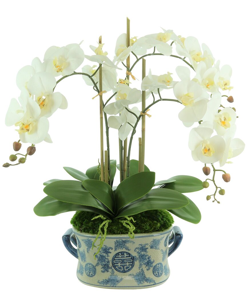 Creative Displays Orchid Floral Arrangement In Decorative Ceramic Pot In White
