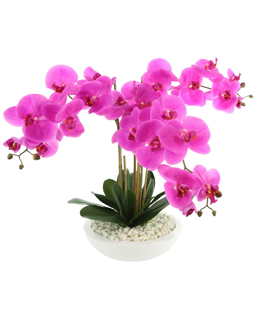 Creative Displays Pink Orchid Floral Arrangement In Purple