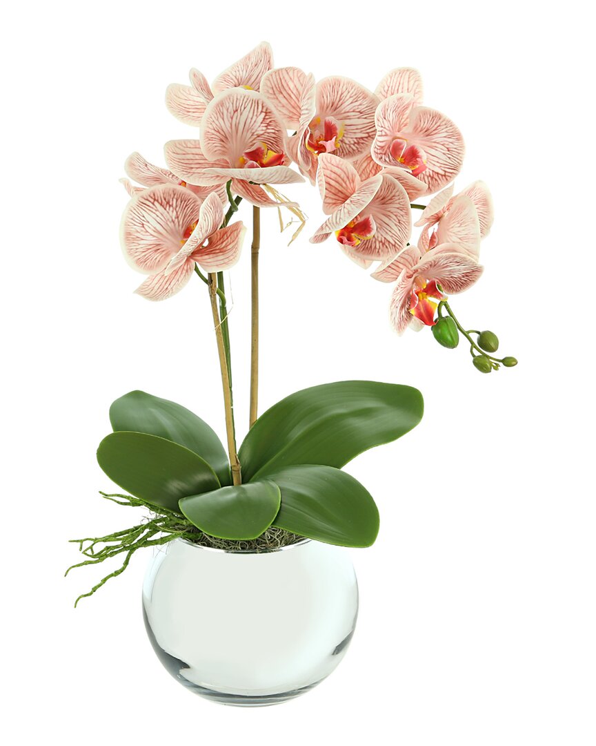 Creative Displays Orchid Arranged In Glass Mirror Bowl In Pink