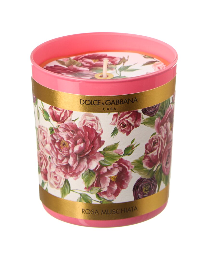 Dolce & Gabbana Scented Candle - Rosa Moschata In Blue