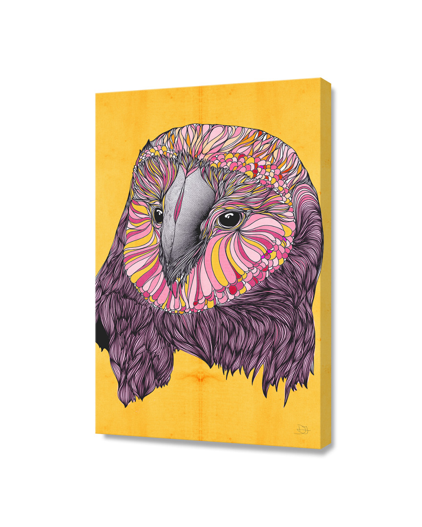 Curioos Lovely Owl By Danny Ivan