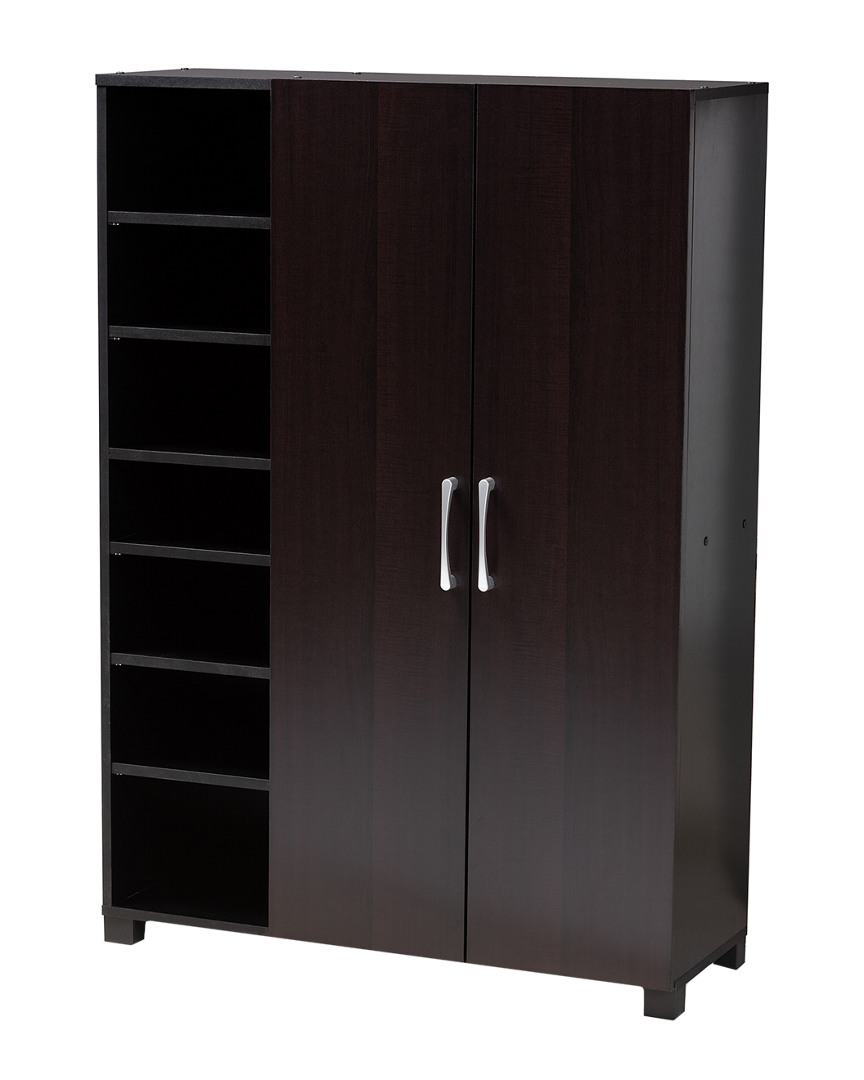 Design Studios Marine Wenge Finished 2-door Wood Entryway Shoe Storage Cabinet