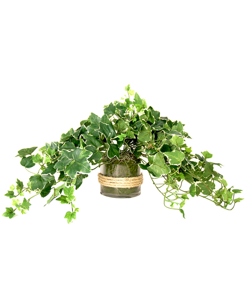 Creative Displays Ivy Bush Arrangement