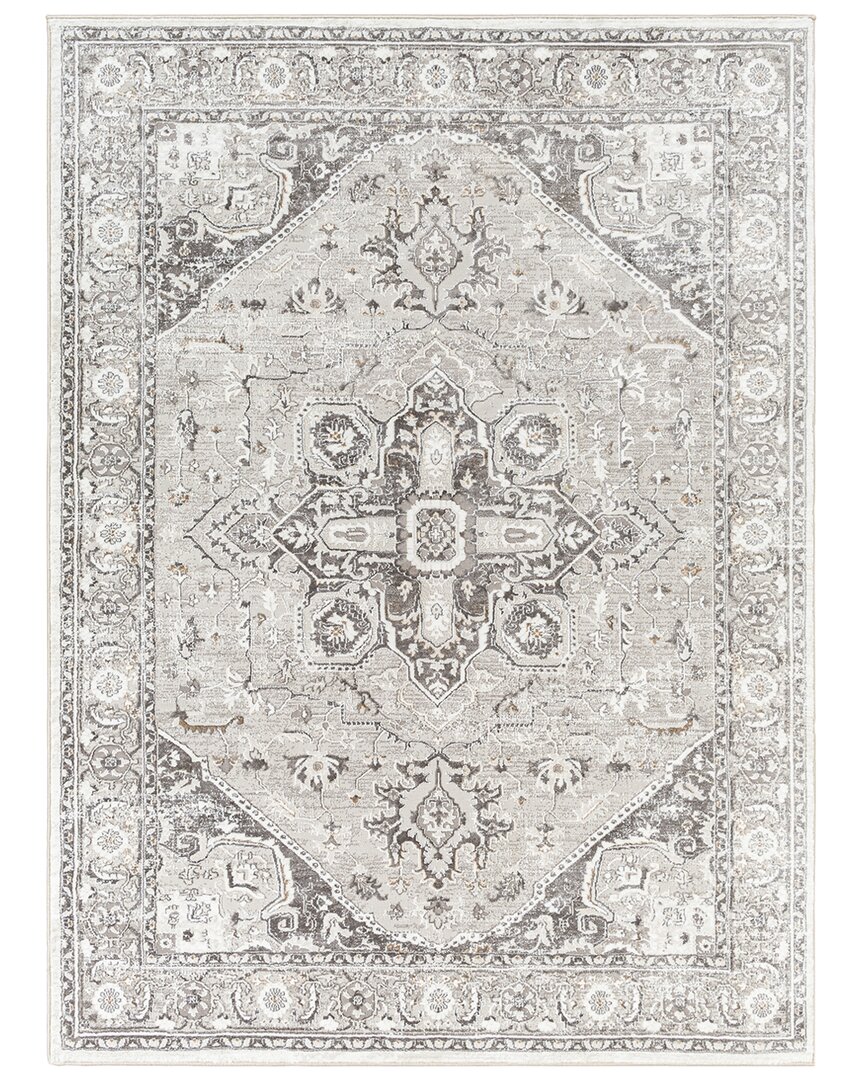 Surya Allegro Polyester Rug In Grey