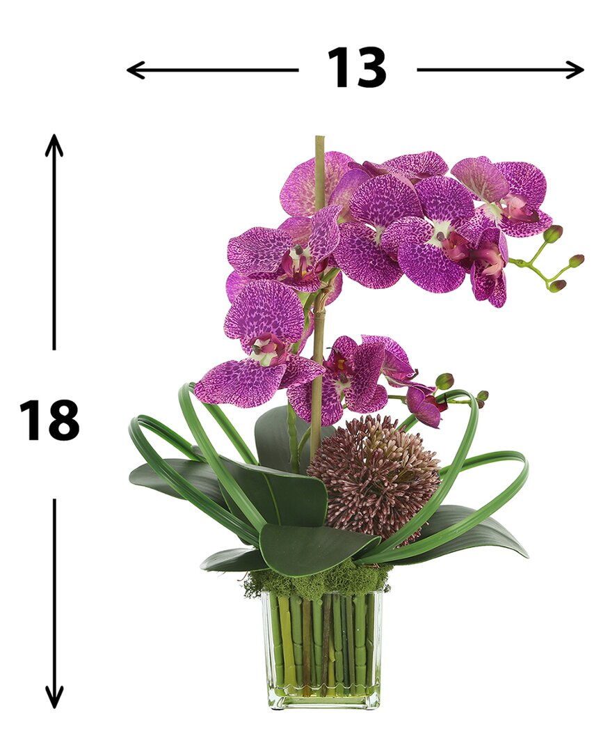 Creative Displays Magenta Orchid Floral Arrangement In Multicolor