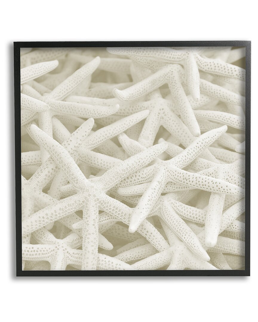 Shop Stupell Nautical White Starfish Photography Framed Giclee Wall Art By Lil' Rue