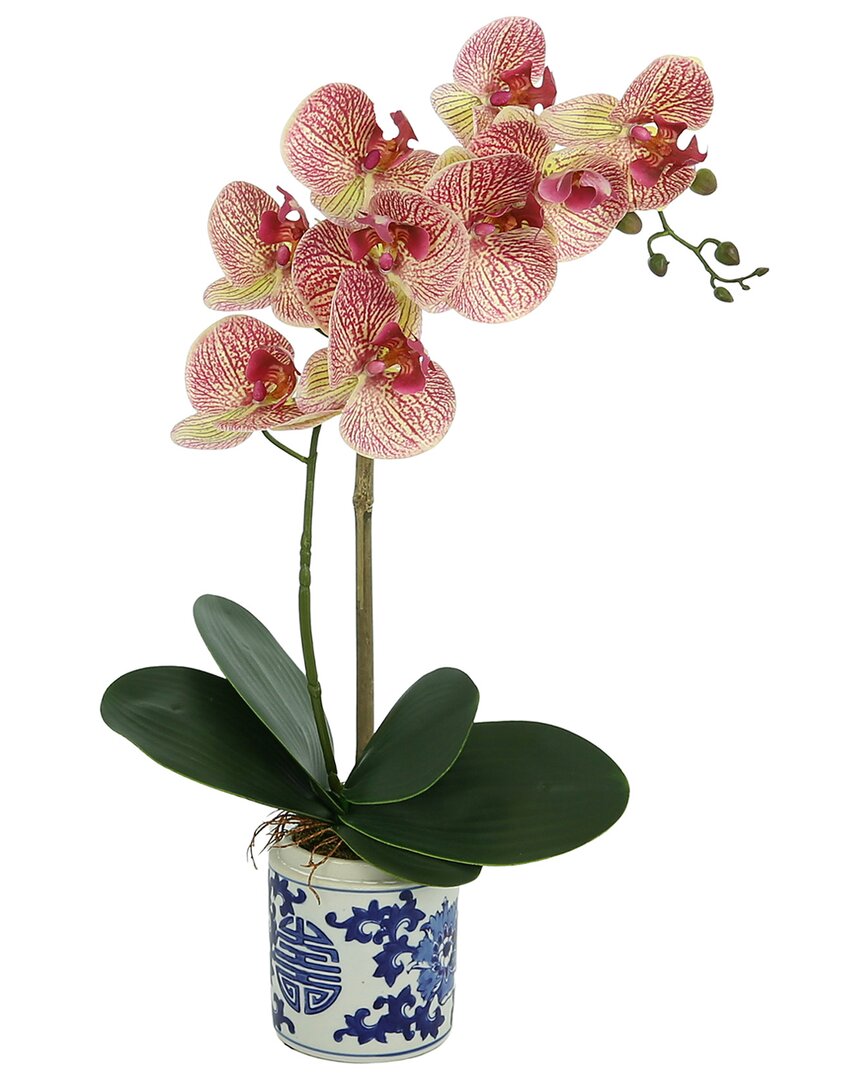 Creative Displays Pink Orchid Arrangement In Decorative Ceramic Vase