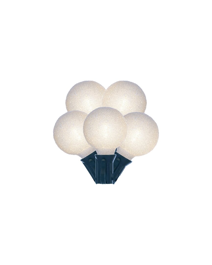 Vickerman 12-light 12ft Warm White Led Iced G40 Light Set In Neutral