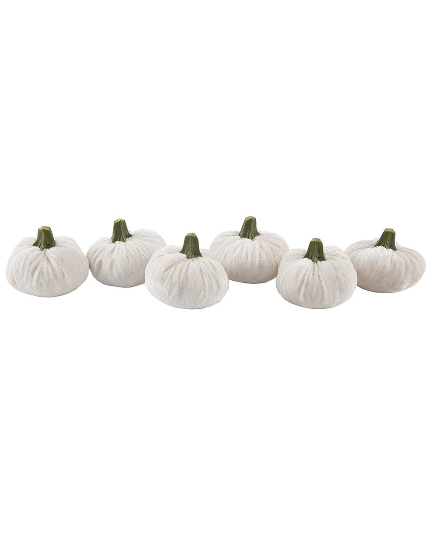Flora Bunda Set Of 6 Small Velvet Pumpkins In Box In Cream