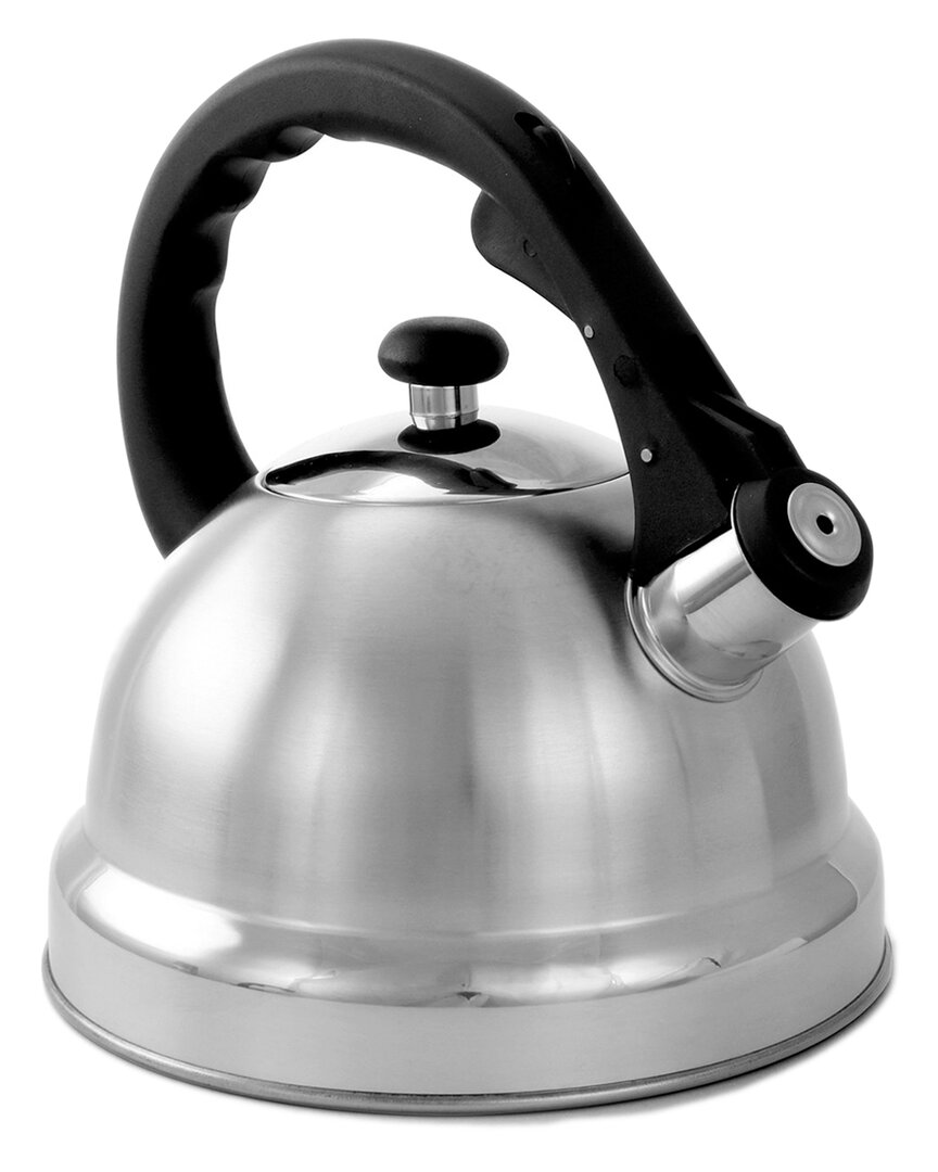 Mr Coffee Mr. Coffee Claredale 2.2qt Brushed Stainless Steel Whistling Tea Kettle In Silver
