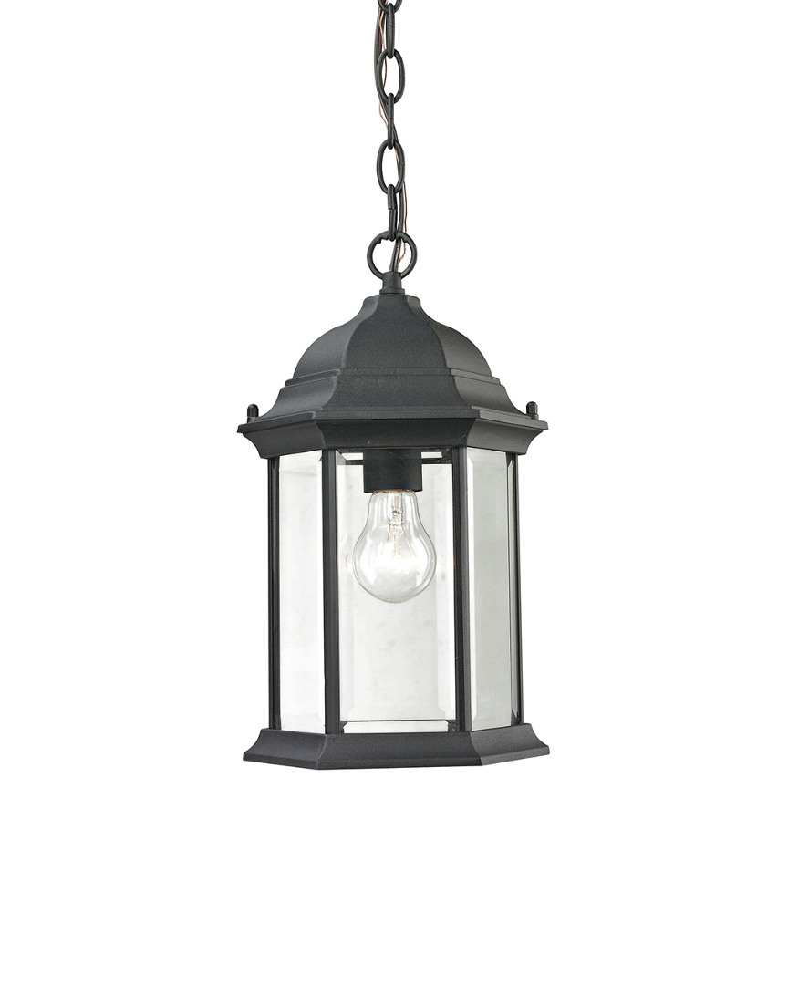 Artistic Home & Lighting Spring Lake 1-light Outdoor Pendant