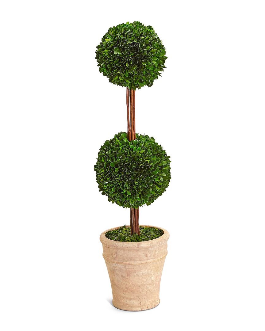 Two's Company 31.5in Preserved Boxwood Cone Topiary In Beige