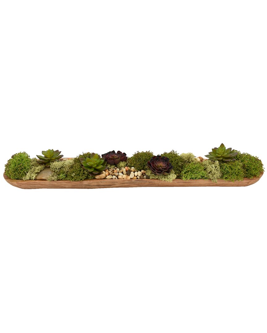 Creative Displays Cactus & Moss In Long Wood Planter In Green