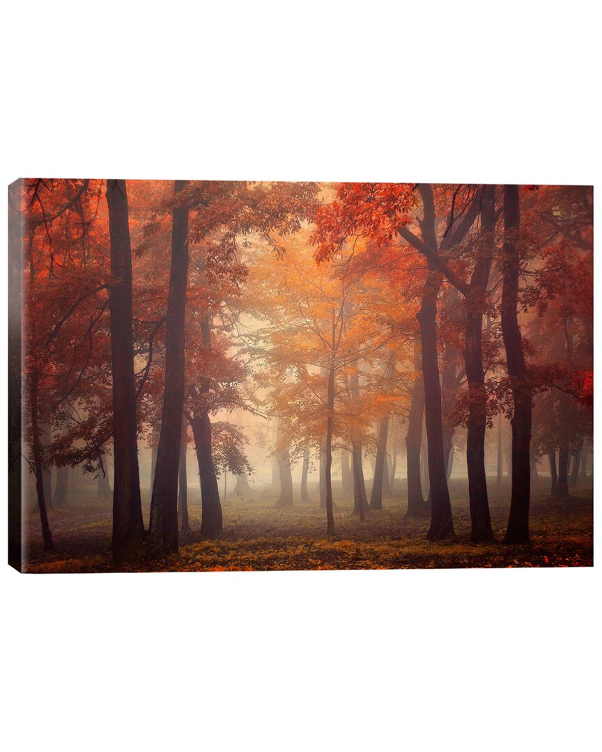 Icanvas Feel By Ildiko Neer Wall Art