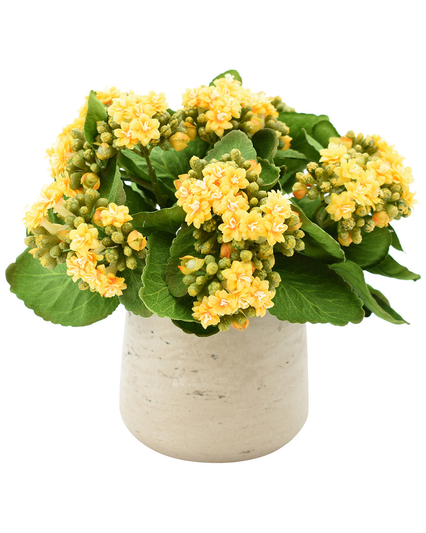 Creative Displays Yellow Kalanchoe Floral Arrangement