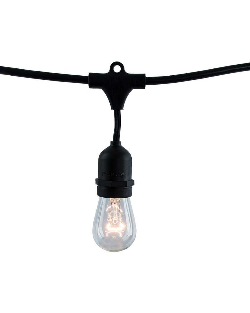 Bulbrite 48ft Black String Light Kit With Clear S14 Led Light Bulbs, 1pk