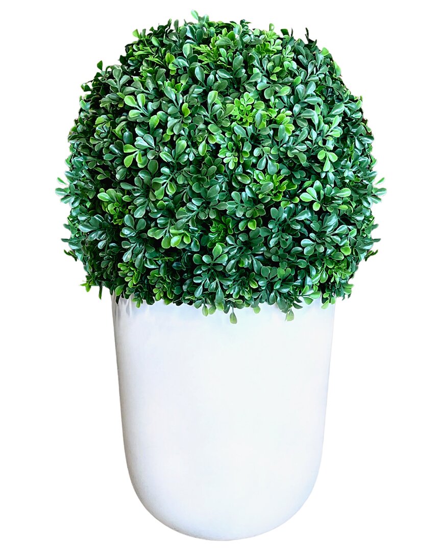 Creative Displays Uv-rated Outdoor Boxwood Ball In Cylindrical Planter In Green