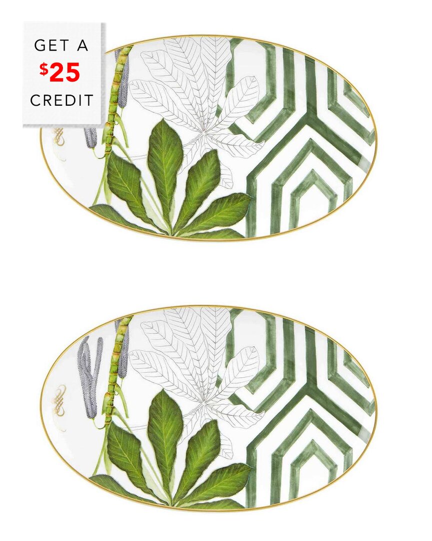 Vista Alegre Amazonia Small Oval Platters (set Of 2) With $25 Credit In Multi