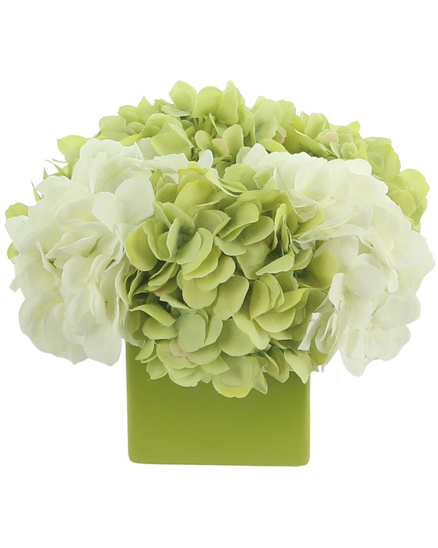 Creative Displays Assorted Hydrangeas In A Square Pot In Green