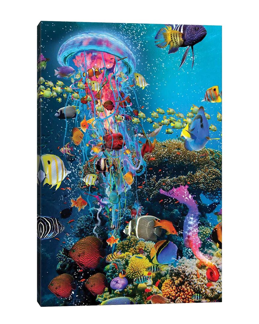 Icanvas Electric Jellyfish At The Reef By David Loblaw Wall Art
