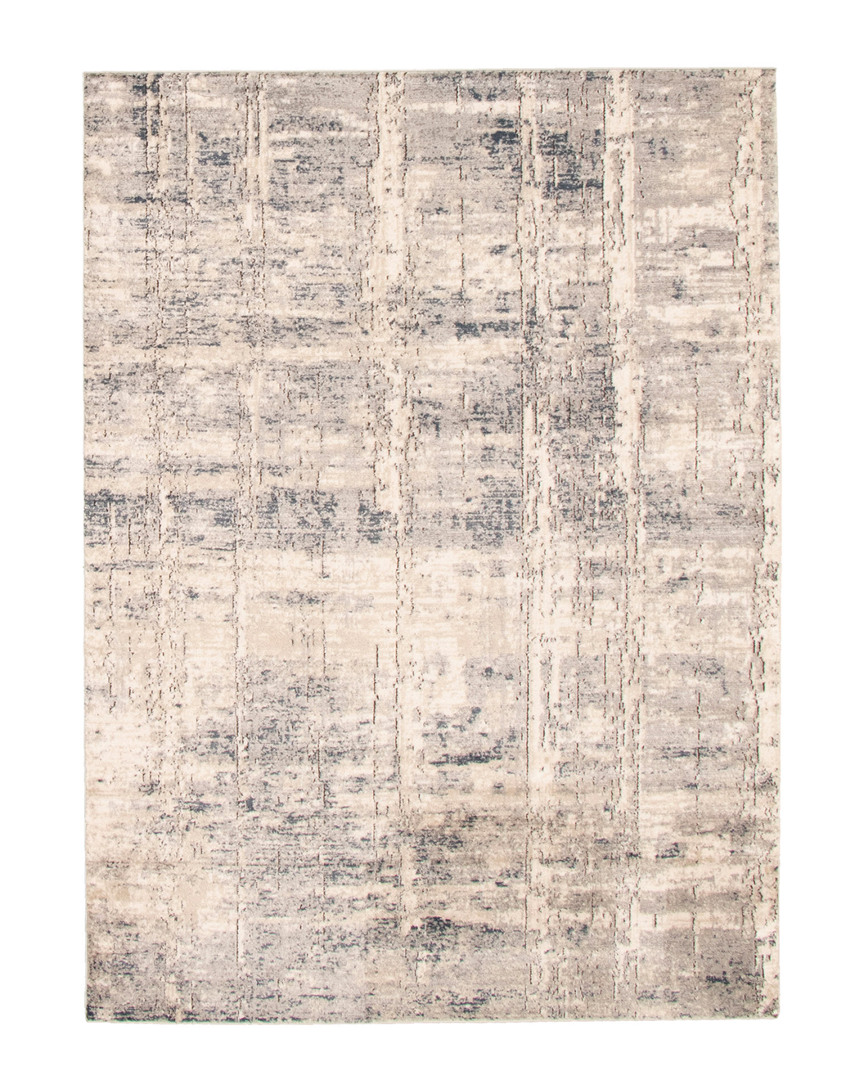 Shop Ecarpet Oregon Abstract Modern Distressed Rug In Ivory