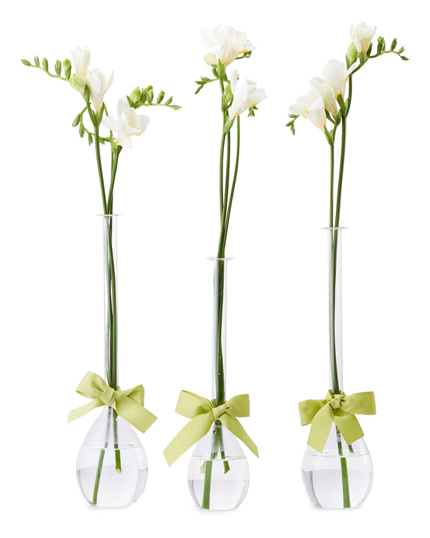 Two's Company Sleek & Chic Set Of 3 Tear Drop Vases