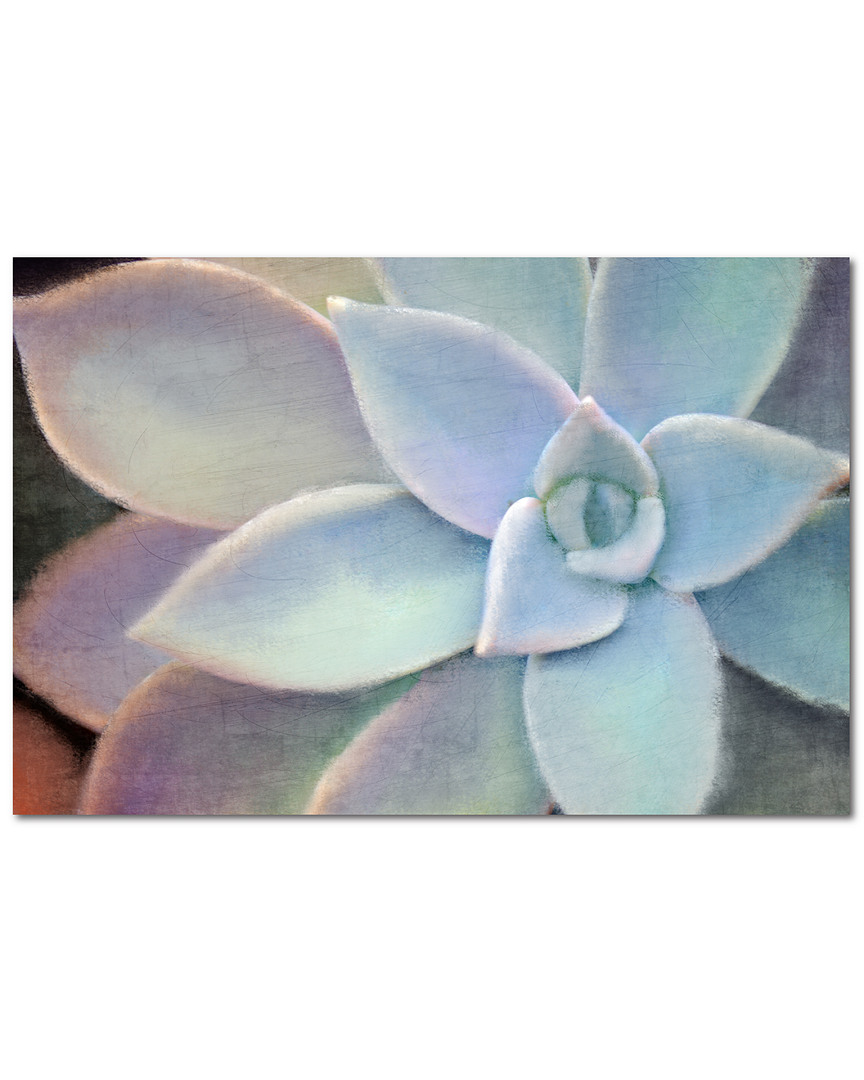 Courtside Market Wall Decor Succulent Softly Canvas Wall Art