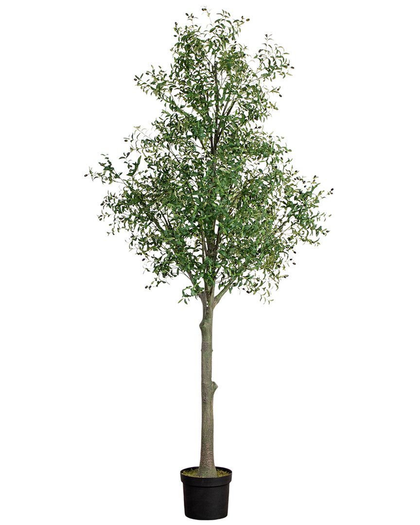 NEARLY NATURAL NEARLY NATURAL PODOCARPUS WITH MOSSED BONSAI PLANTER