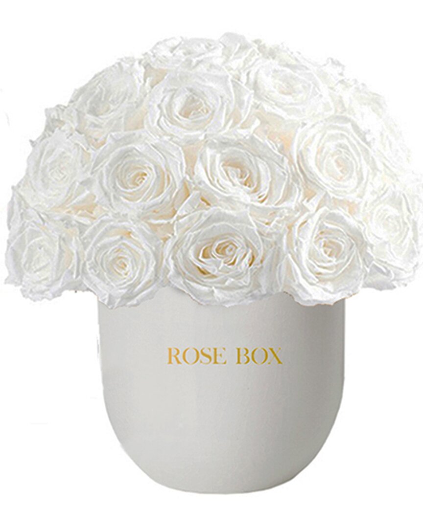 Rose Box Nyc Ceramic Classic Half Ball With Pure White Roses