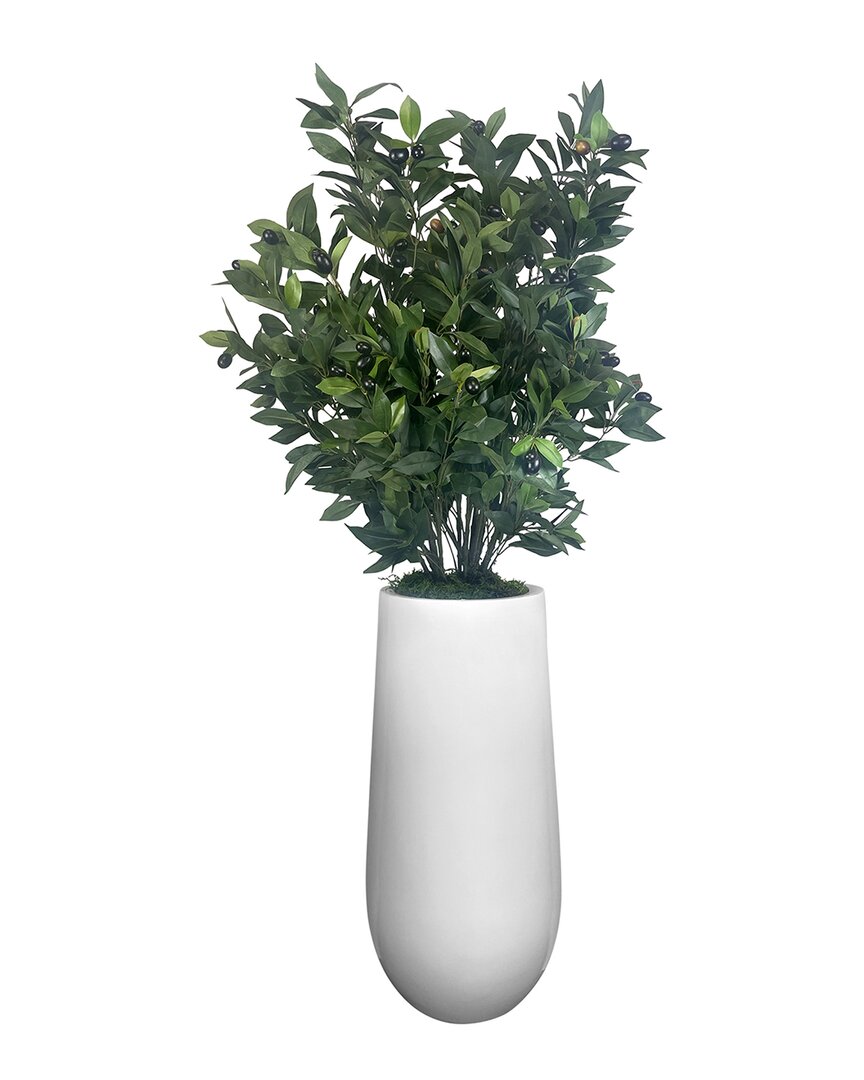Creative Displays Green Olive Tree In Fiberstone Planter In Green
