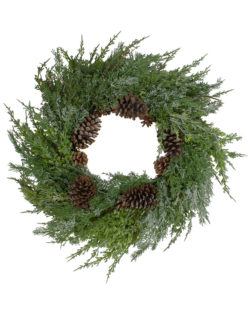 Northern Lights Northlight Frosted Cedar And Pine Cone Artificial Christmas Wreath - 26-in  Unlit In Green