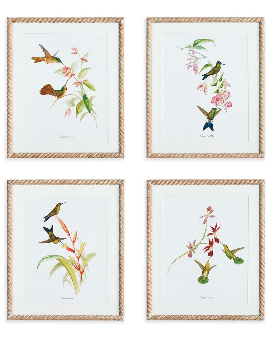 Napa Home & Garden Playful Hummingbird Prints Set