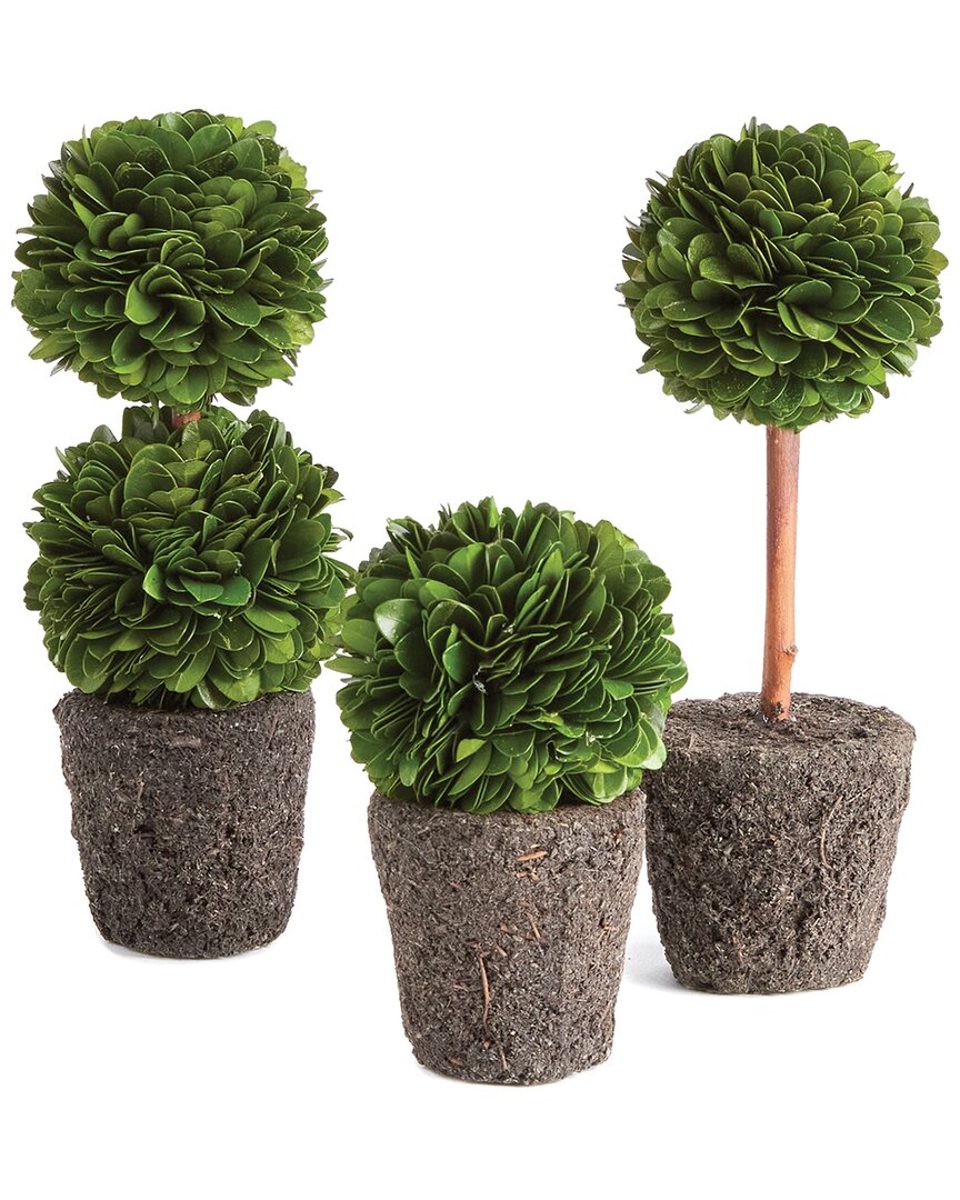 Napa Home & Garden Boxwood Mini Topiary Drop-ins