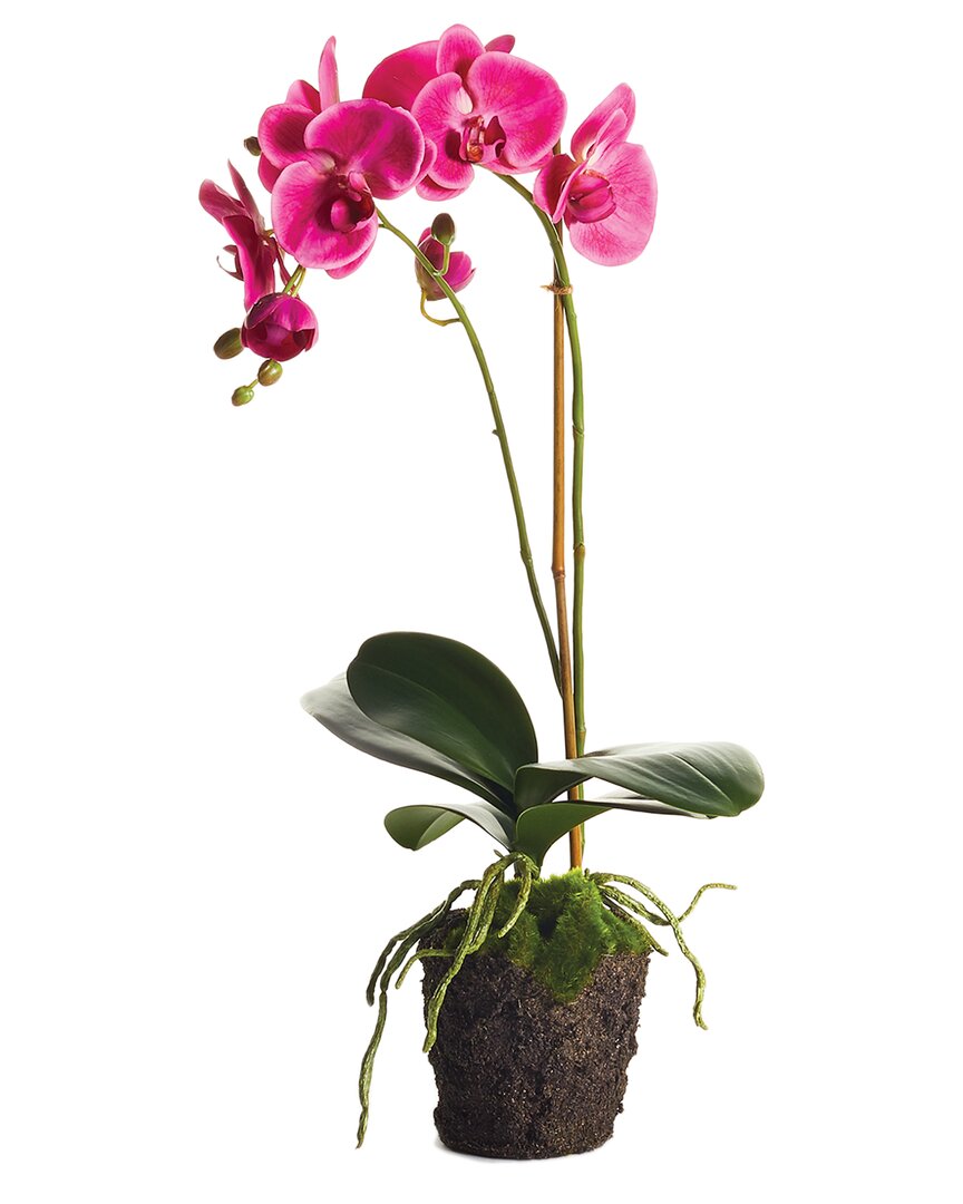 Napa Home & Garden 23in Phalaenopsis Drop-in In Pink