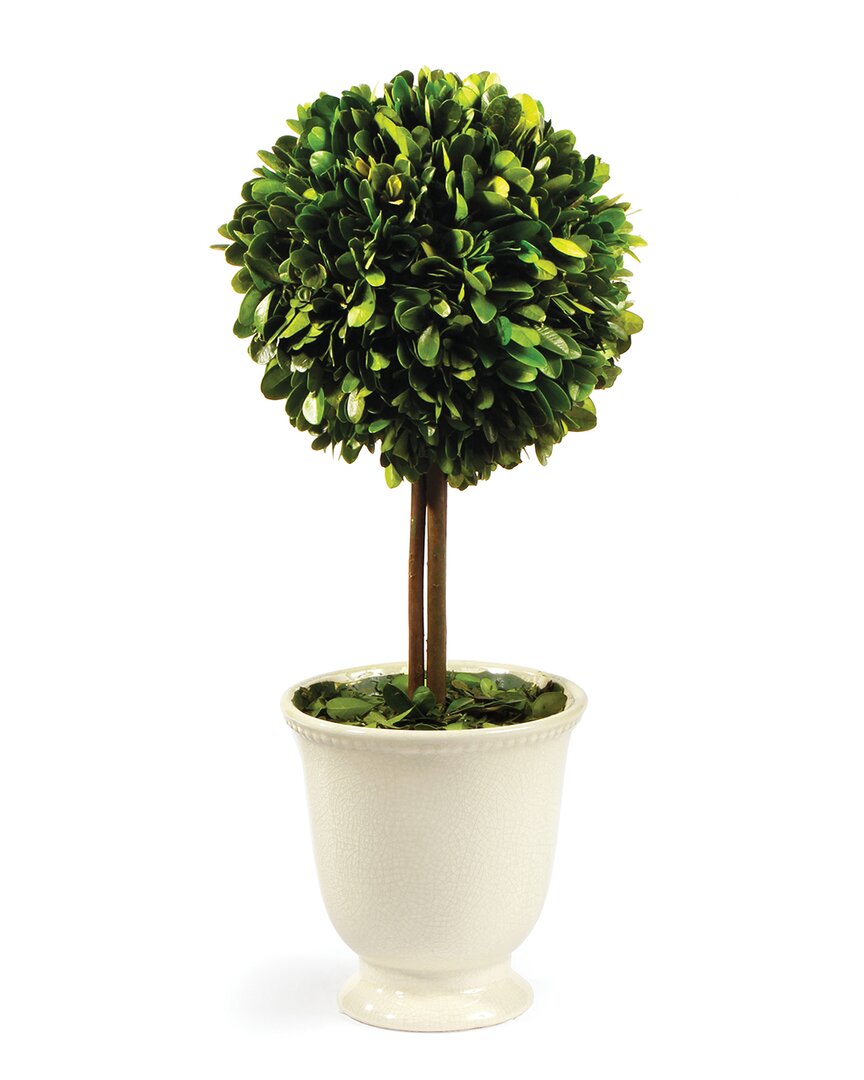 Napa Home & Garden Boxwood Topiary In Pot